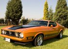 1973 mustang fastback mach1 yellow gold  001